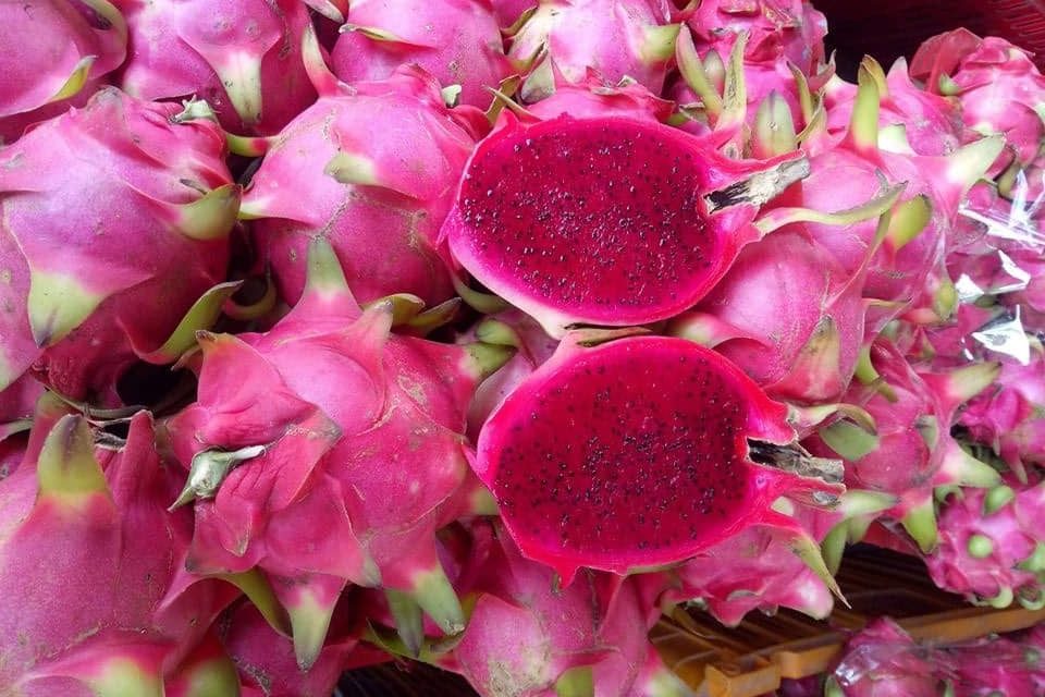 GIA-THANH-LONG-TANG-CAO