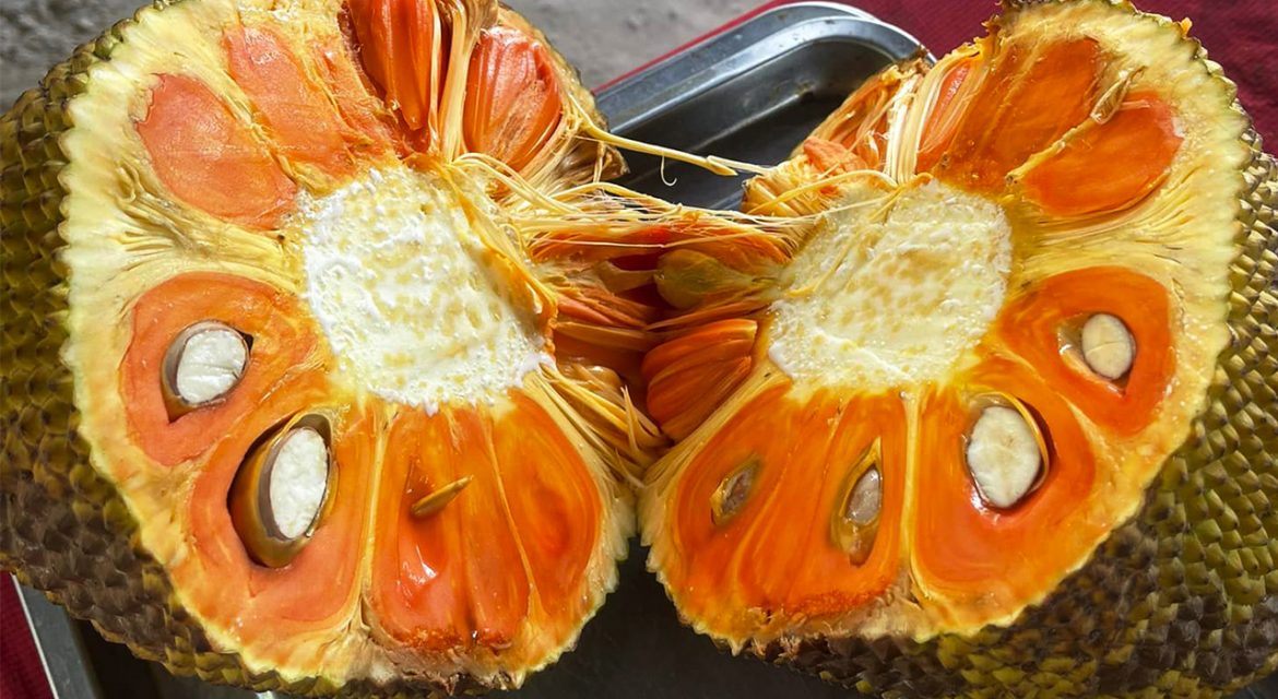 gia-mit-ruot-do-giam