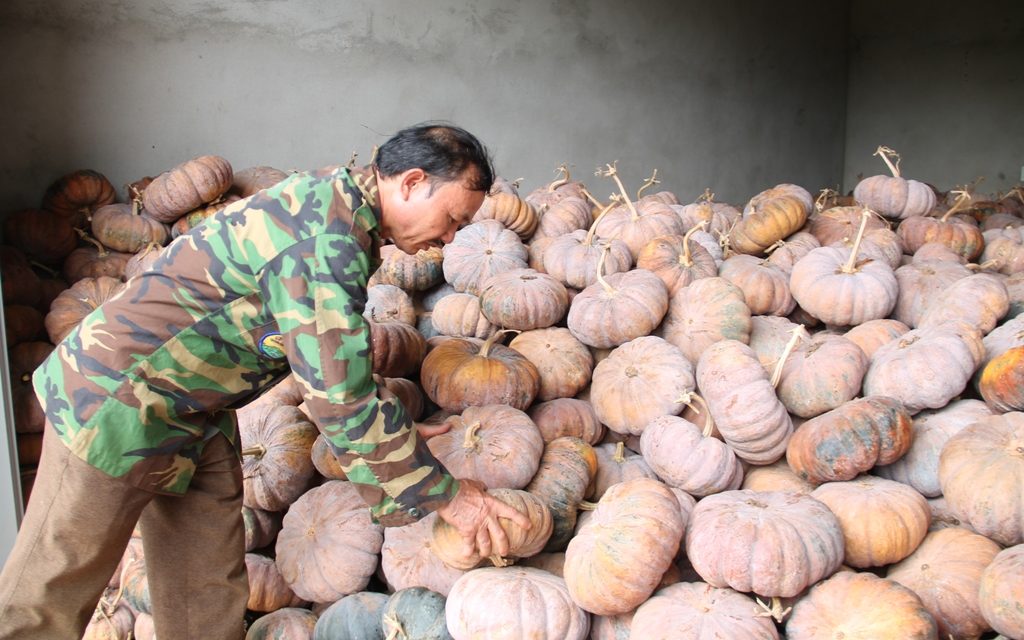 gia-rau-cu-ngay-22-6