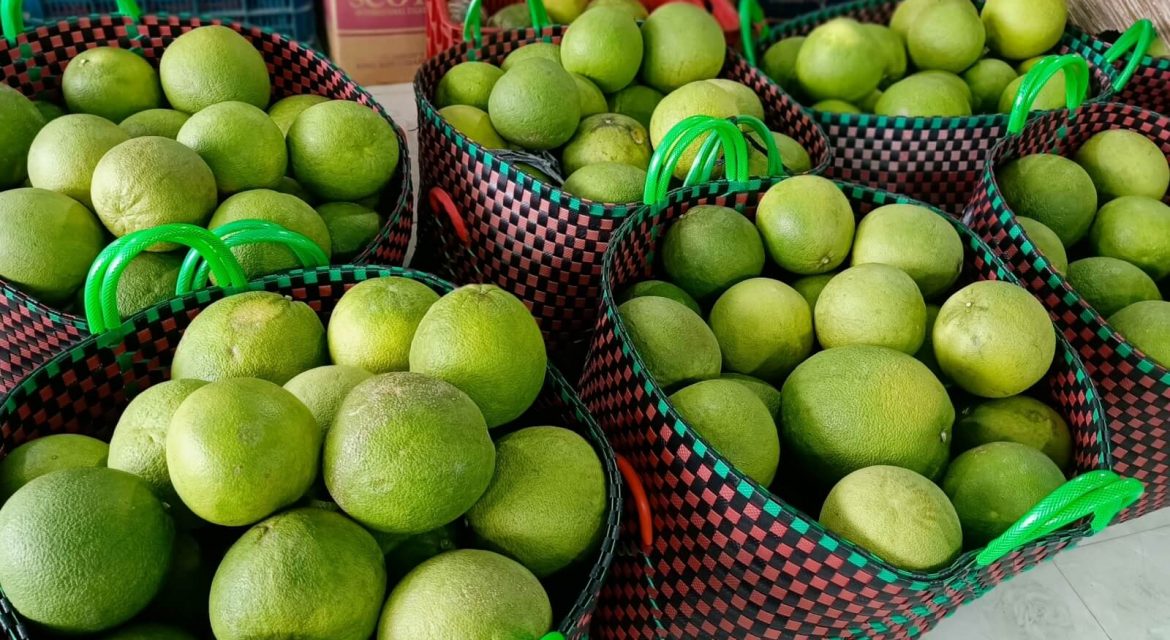 gia-trai-cay-ngay-20-6-2