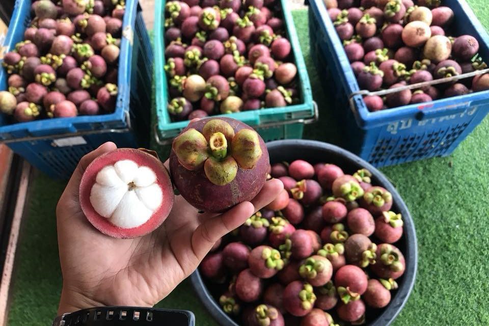 gia-trai-cay-ngay-27-6-1