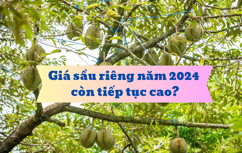 du-bao-gia-sau-rieng-2024-2
